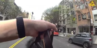 Полиция Нью-Йорка опубликовала видео погони конного патрульного за грабителем (видео)