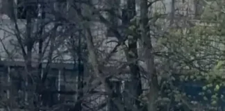 Стрельба и взрыв в Киеве: есть погибшие (видео)