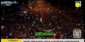 Масштабные протесты в Перу из-за подозрений в фальсификации выборов (видео)