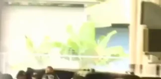 Оперативника «Хезболлы» Али Заки Хаге Джалиля экстрадировали в Панаму