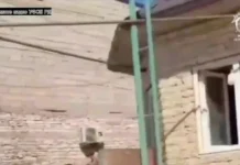 В Дагестане ликвидировали попытку создания радикального анклава (видео)