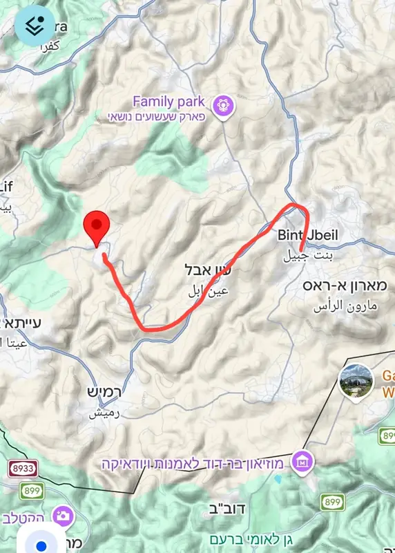 Ливанские СМИ раскрыли маршрут бегства раненого боевика Хезболлы из Бинт-Джубайля