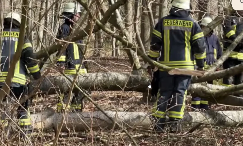 Illustration youtube screenshot