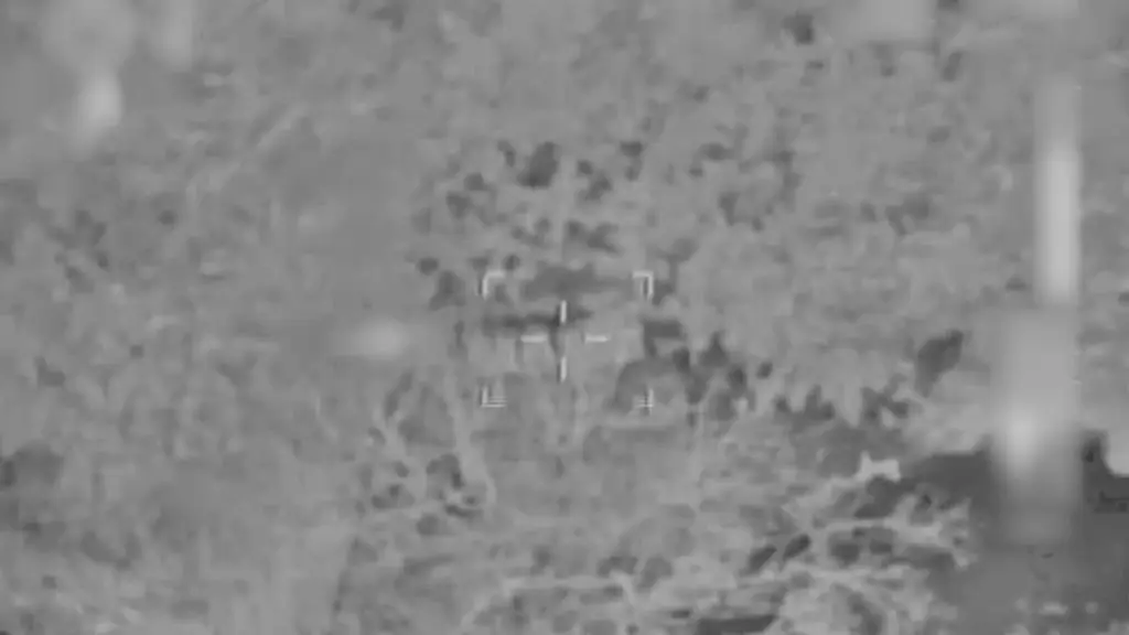 ЦАХАЛ уничтожил готовую к пуску ракетную установку в районе Клауия на юге Ливана