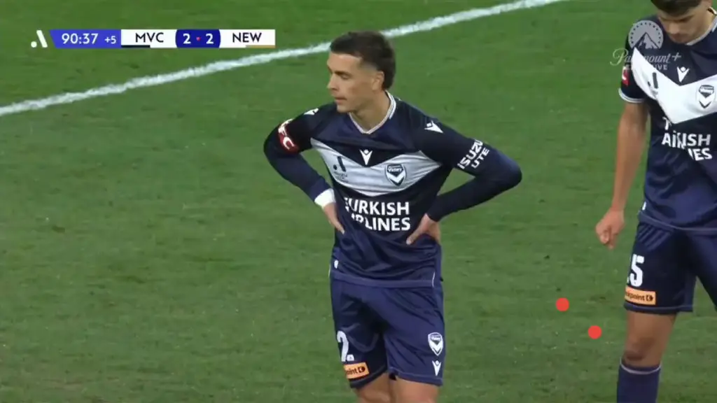 Австралия: футбольный матч в Мельбурне продолжился при нашествии чаек