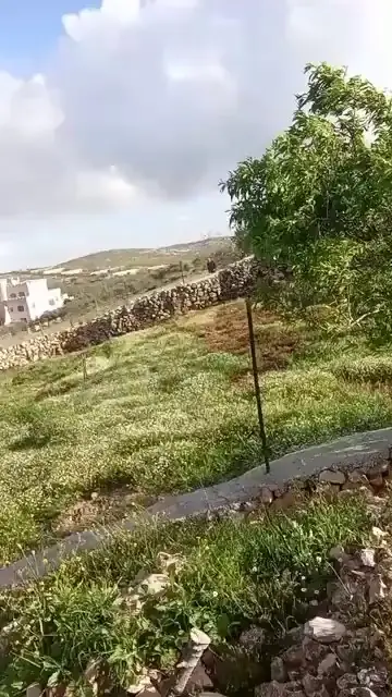 Ликвидирован террорист, атаковавший камнями израильских военных в Самарии