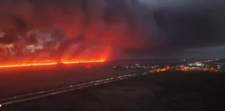 Флорида в огне: более 120 тысяч акров уничтожено с начала 2026 года Пожары во Флориде уничтожают леса