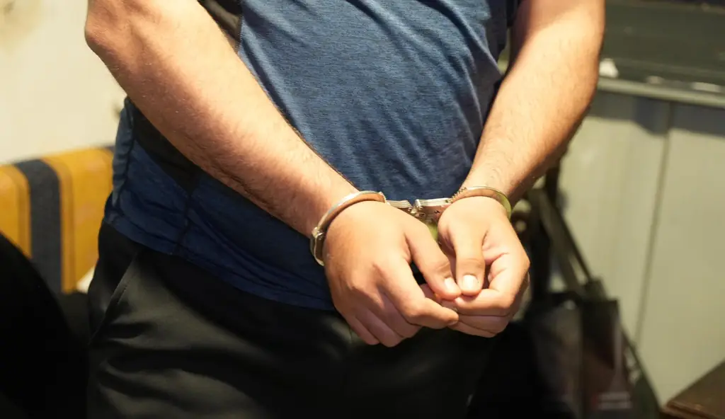 В северном регионе Израиля задержаны 38 подозреваемых в торговле оружием и наркотиками