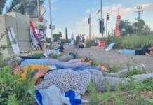 ЦАХАЛ ужесточает инструкции безопасности на севере Израиля до 1 июня Видео: Жители Кармиэля ложатся на пол во время звучания тревожных сирен