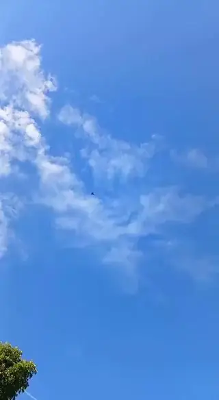 ВВС НАТО сбили неизвестный дрон-камикадзе в воздушном пространстве Латвии